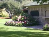 The Butchart Gardens - Vancover Island BC 2005