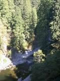 Capilano Suspension Bridge - Vancover BC 2005