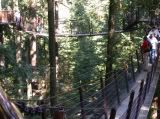 Capilano Suspension Bridge - Vancover BC 2005