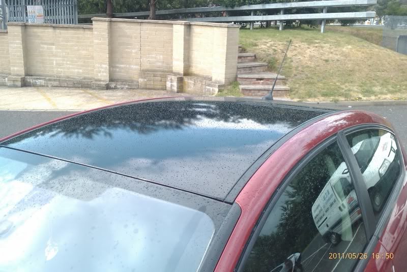 IMAG0257.jpg