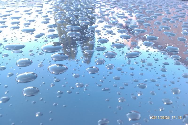 IMAG0260-1.jpg