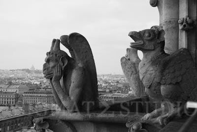 Paris, Gargoyle, Notre Dame, Photo, Print, Sale, Di Amorim, Red Monika, Battlechasers, sexy