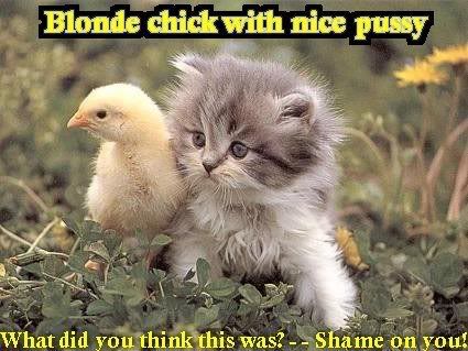 02-Blonde_Chick_With_Nice_Pussy.jpg?t=12