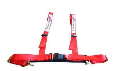 http://i143.photobucket.com/albums/r123/ribeiro953/WeaponR_Harness_Red.jpg