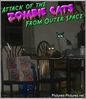 zombiecats.jpg