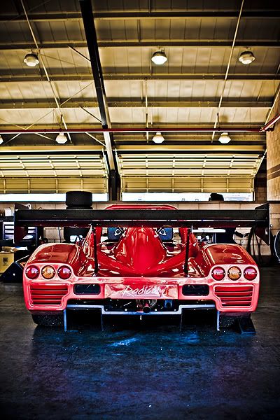 IMAGE: http://i143.photobucket.com/albums/r126/cartoonbear86/IMG_6502.jpg