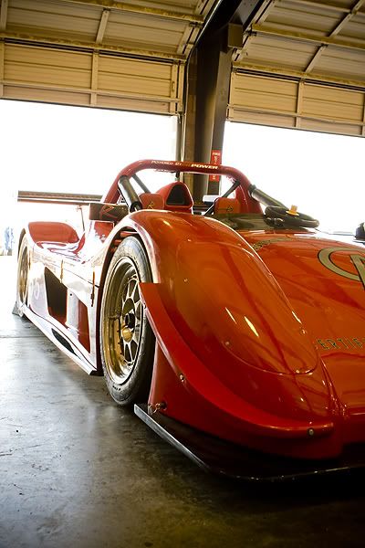 IMAGE: http://i143.photobucket.com/albums/r126/cartoonbear86/IMG_6562.jpg