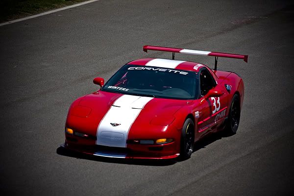 IMAGE: http://i143.photobucket.com/albums/r126/cartoonbear86/IMG_6628.jpg