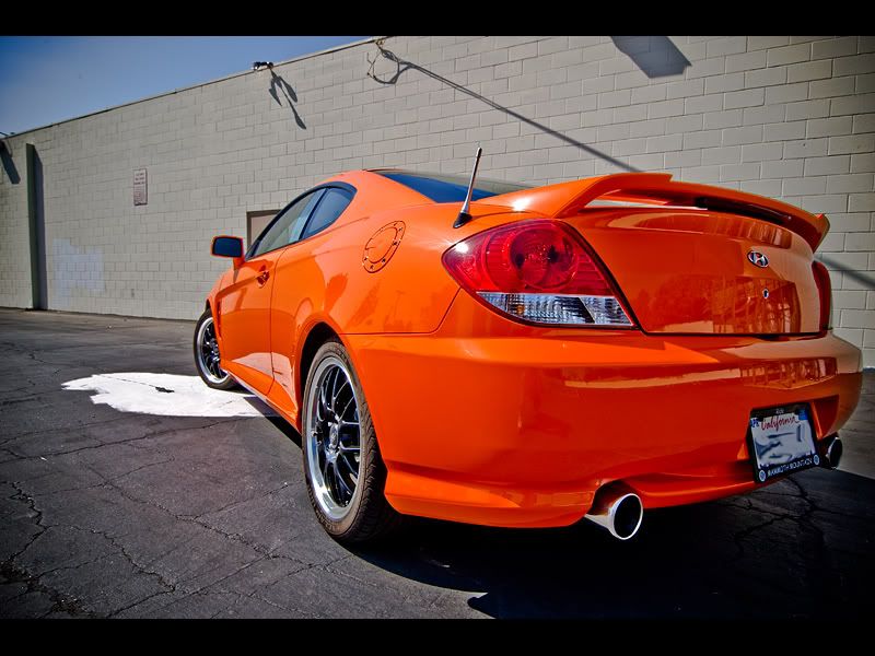 IMAGE: http://i143.photobucket.com/albums/r126/cartoonbear86/_M3Z0282net.jpg