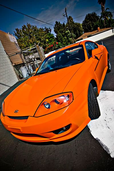 IMAGE: http://i143.photobucket.com/albums/r126/cartoonbear86/_M3Z0290forum.jpg