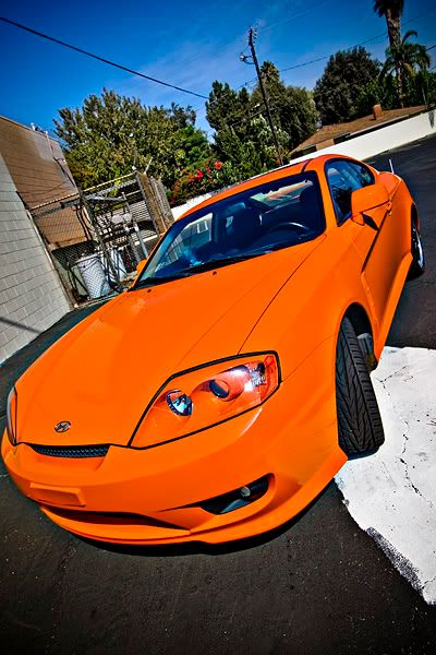 IMAGE: http://i143.photobucket.com/albums/r126/cartoonbear86/_M3Z0290net-1.jpg