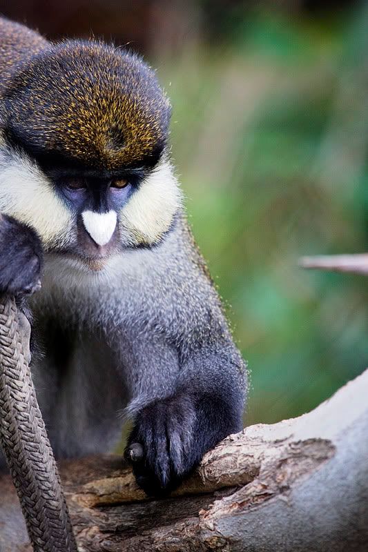 IMAGE: http://i143.photobucket.com/albums/r126/cartoonbear86/_M3Z5007ps.jpg