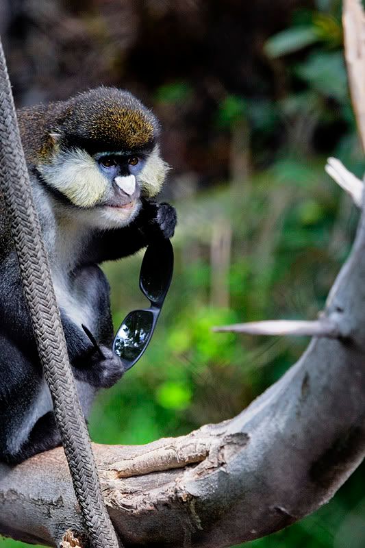 IMAGE: http://i143.photobucket.com/albums/r126/cartoonbear86/_M3Z5033ps.jpg