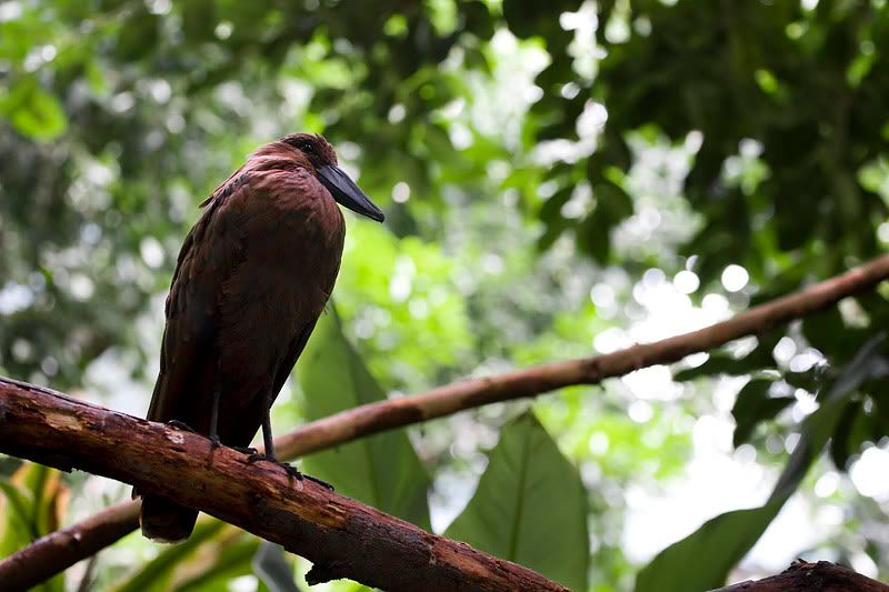 IMAGE: http://i143.photobucket.com/albums/r126/cartoonbear86/_M3Z5103ps.jpg