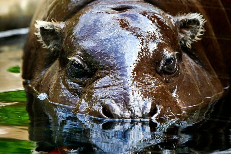 IMAGE: http://i143.photobucket.com/albums/r126/cartoonbear86/_M3Z5147ps.jpg