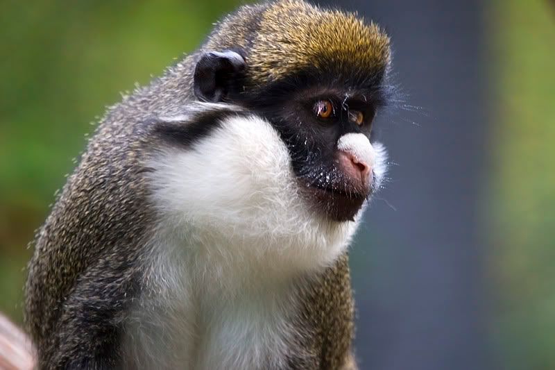 IMAGE: http://i143.photobucket.com/albums/r126/cartoonbear86/_M3Z5152ps.jpg