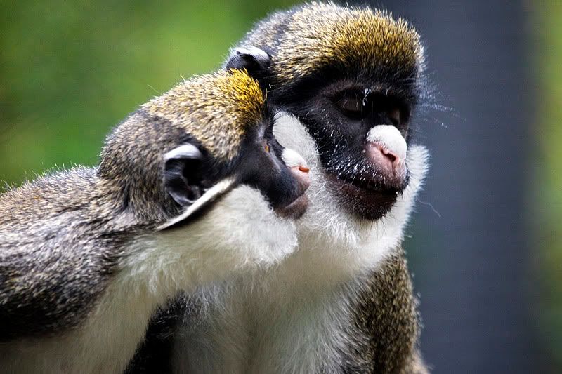 IMAGE: http://i143.photobucket.com/albums/r126/cartoonbear86/_M3Z5154ps.jpg