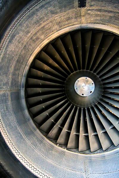 IMAGE: http://i143.photobucket.com/albums/r126/cartoonbear86/_MG_9577.jpg