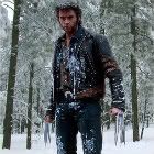 wolverine-hulk.jpg