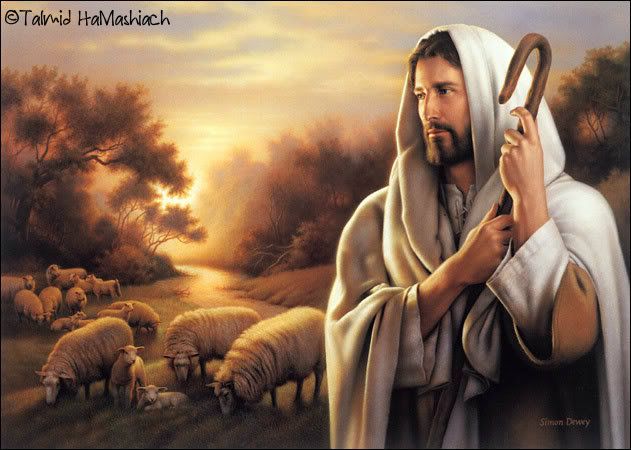 jesus-sheep