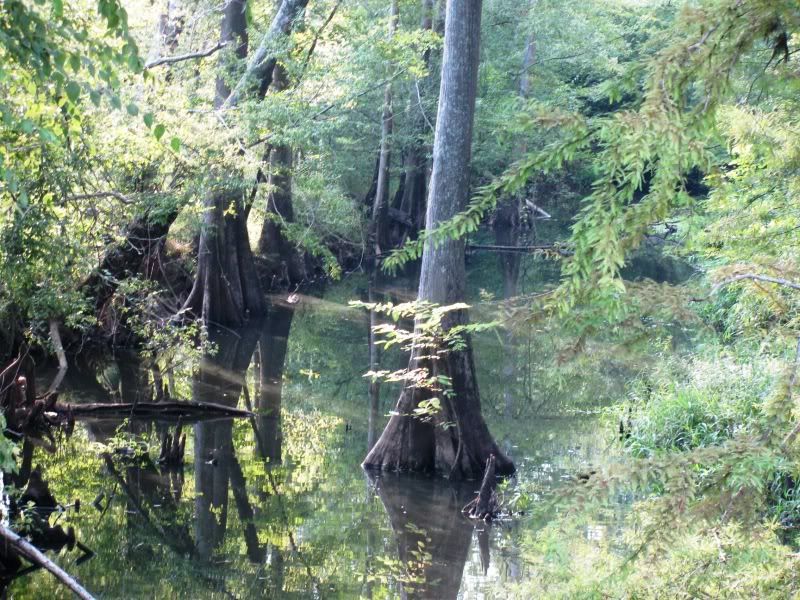 IMAGE: http://i143.photobucket.com/albums/r127/jenn2dcm/IMG_2190.jpg