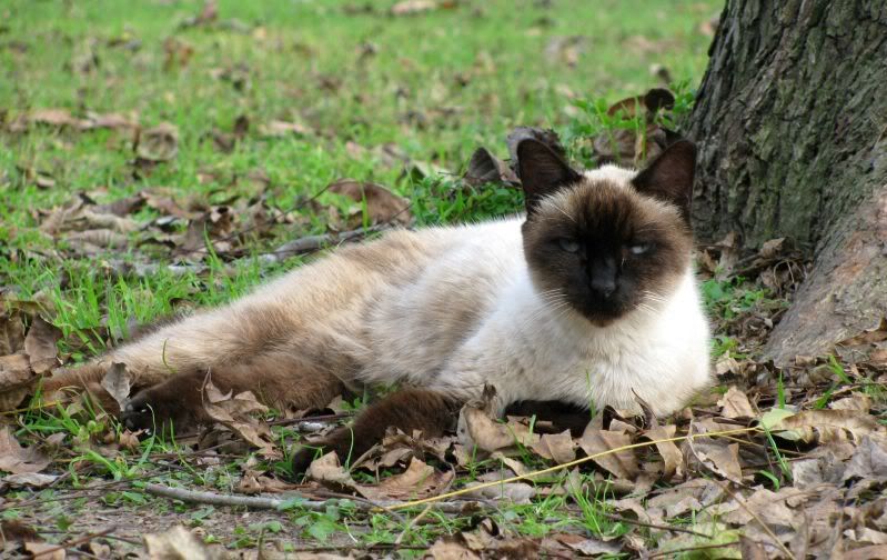 IMAGE: http://i143.photobucket.com/albums/r127/jenn2dcm/IMG_3978.jpg