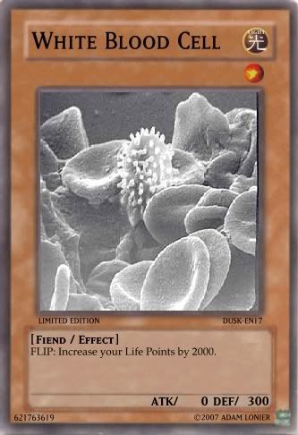 WhiteBloodCell.jpg