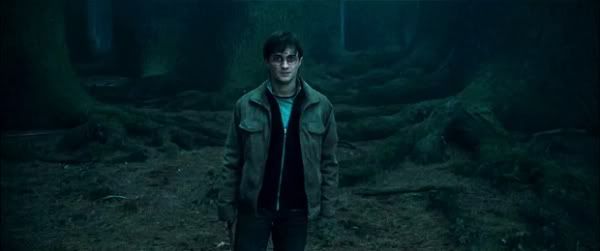 600full-harry-potter-and-the-deathly-hallows--part-2-screenshot-4.jpg