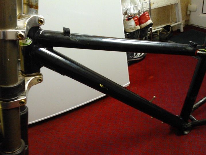 zoom triple clamp forks