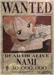 wanted nami