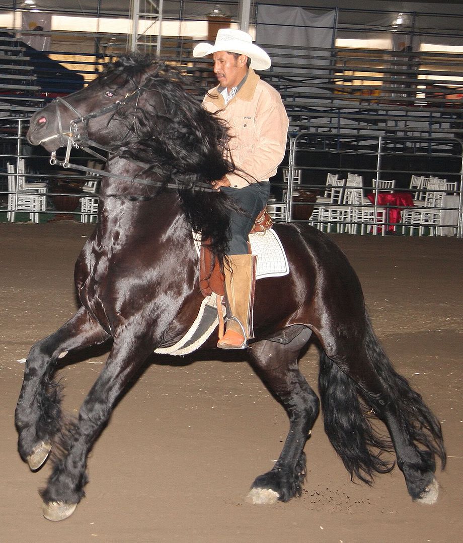 IMAGE: http://i143.photobucket.com/albums/r131/Atlixco/40%20D%20pict/Friscabrsm-1.jpg