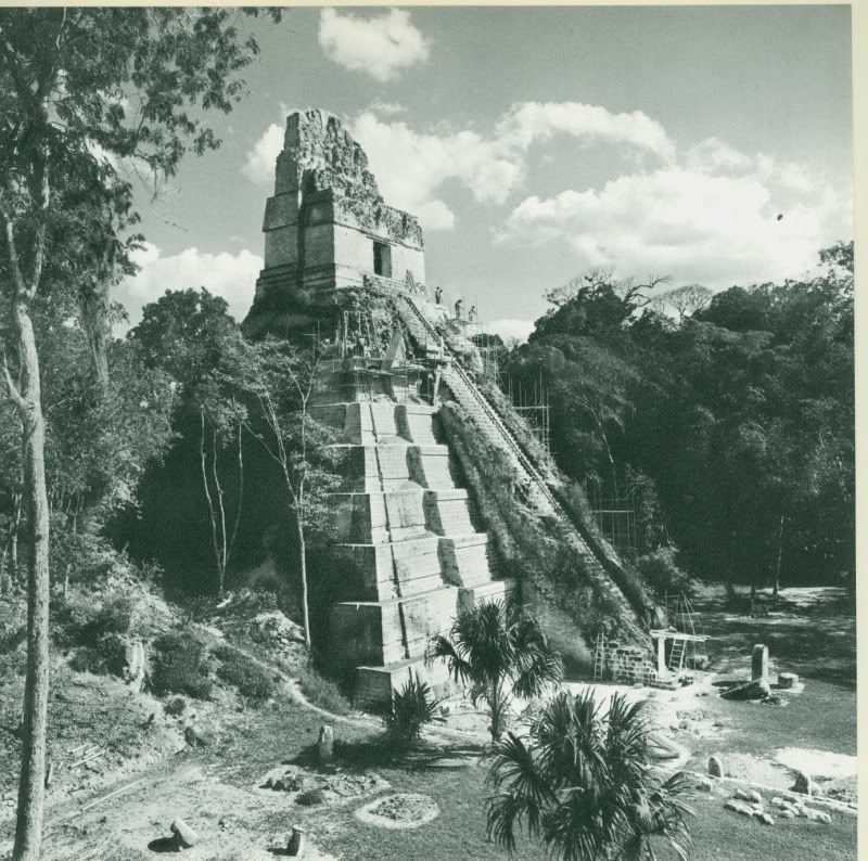 scan0041.jpg picture by waqnahwew