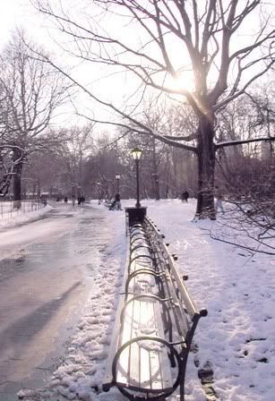 bench
