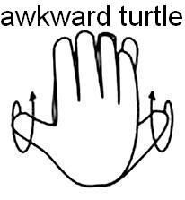 awkward_turtle.jpg