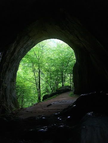[Image: intrare_pestera.jpg]