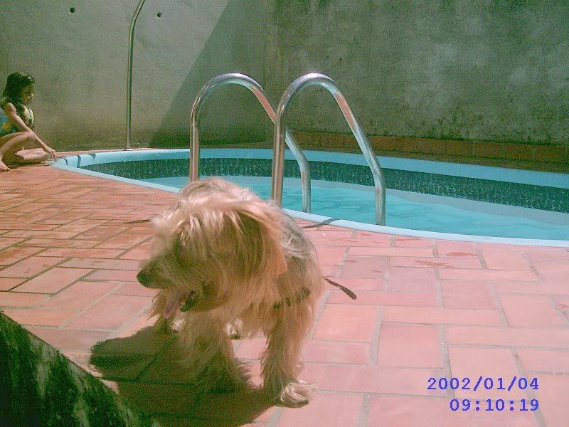 Photobucket - Video and Image Hosting