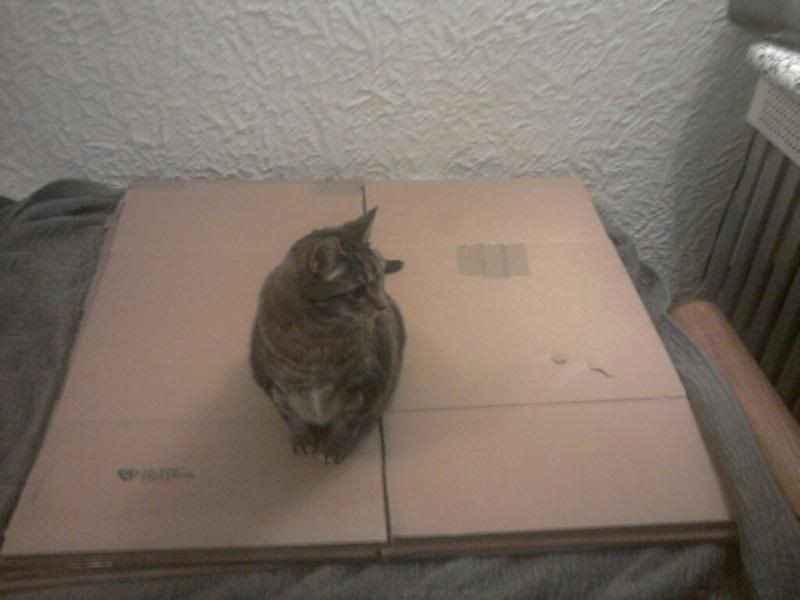 "Helping"