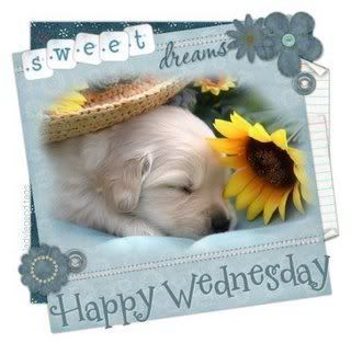 zhappywednesday.jpg Happy Wednesday image by momoftobus