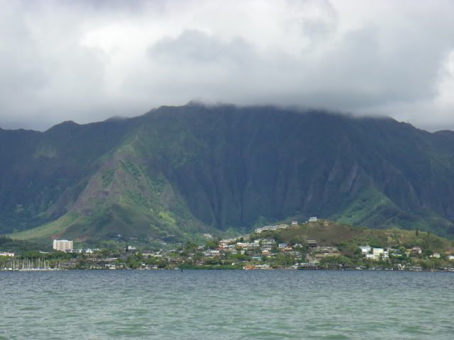 IMGP0501.jpg