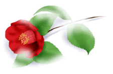 rose03.gif picture by faheem1214