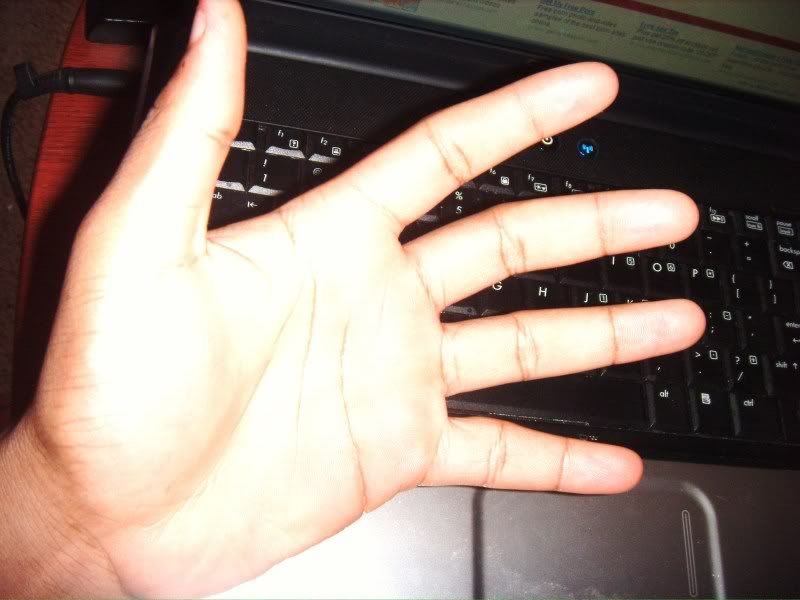 Forum Image: http://i143.photobucket.com/albums/r143/nat52/GEDC1797.jpg