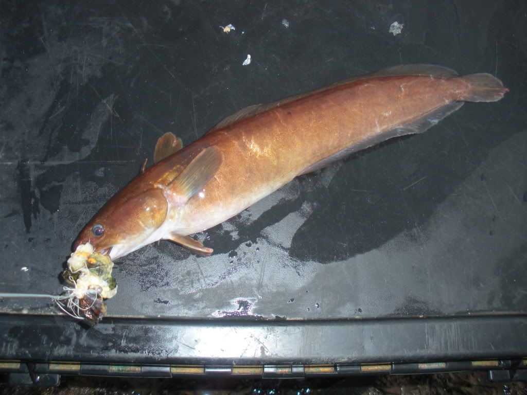 DSCN0397.jpg