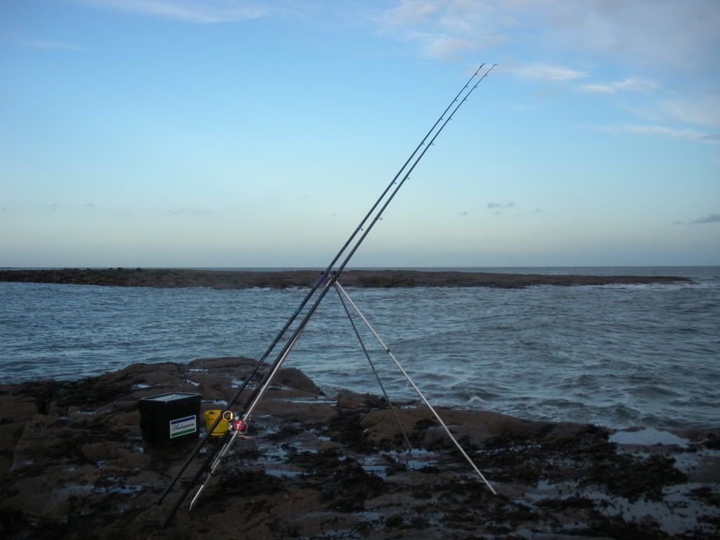 DSCN0398.jpg