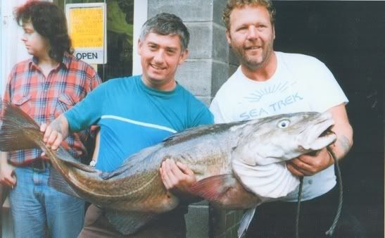 whitby-record-cod.jpg