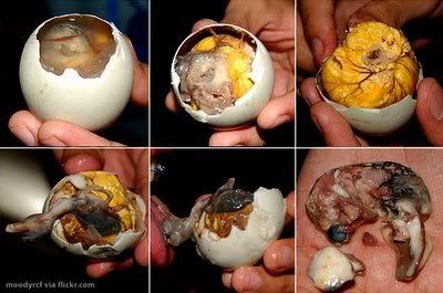 balut.jpg