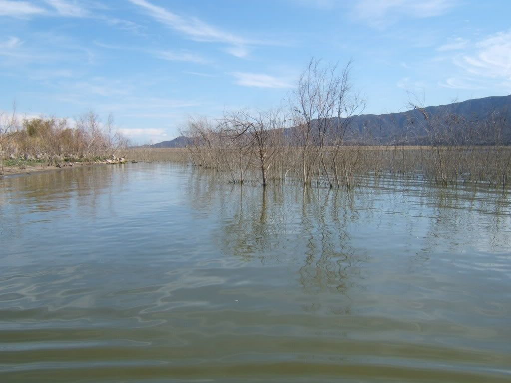 Lake001.jpg