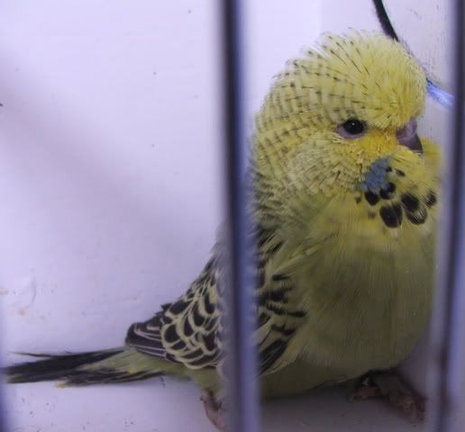 4146d66b.jpg