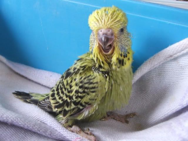 DSCF2890.jpg