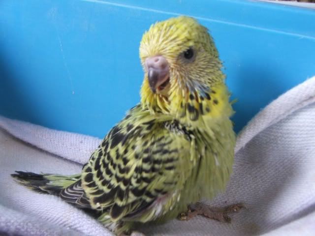 DSCF2891.jpg