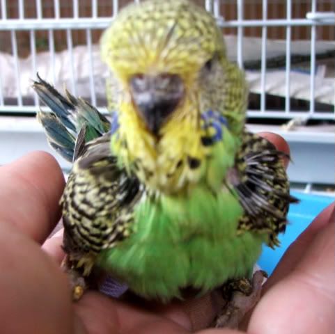 DSCF2926.jpg